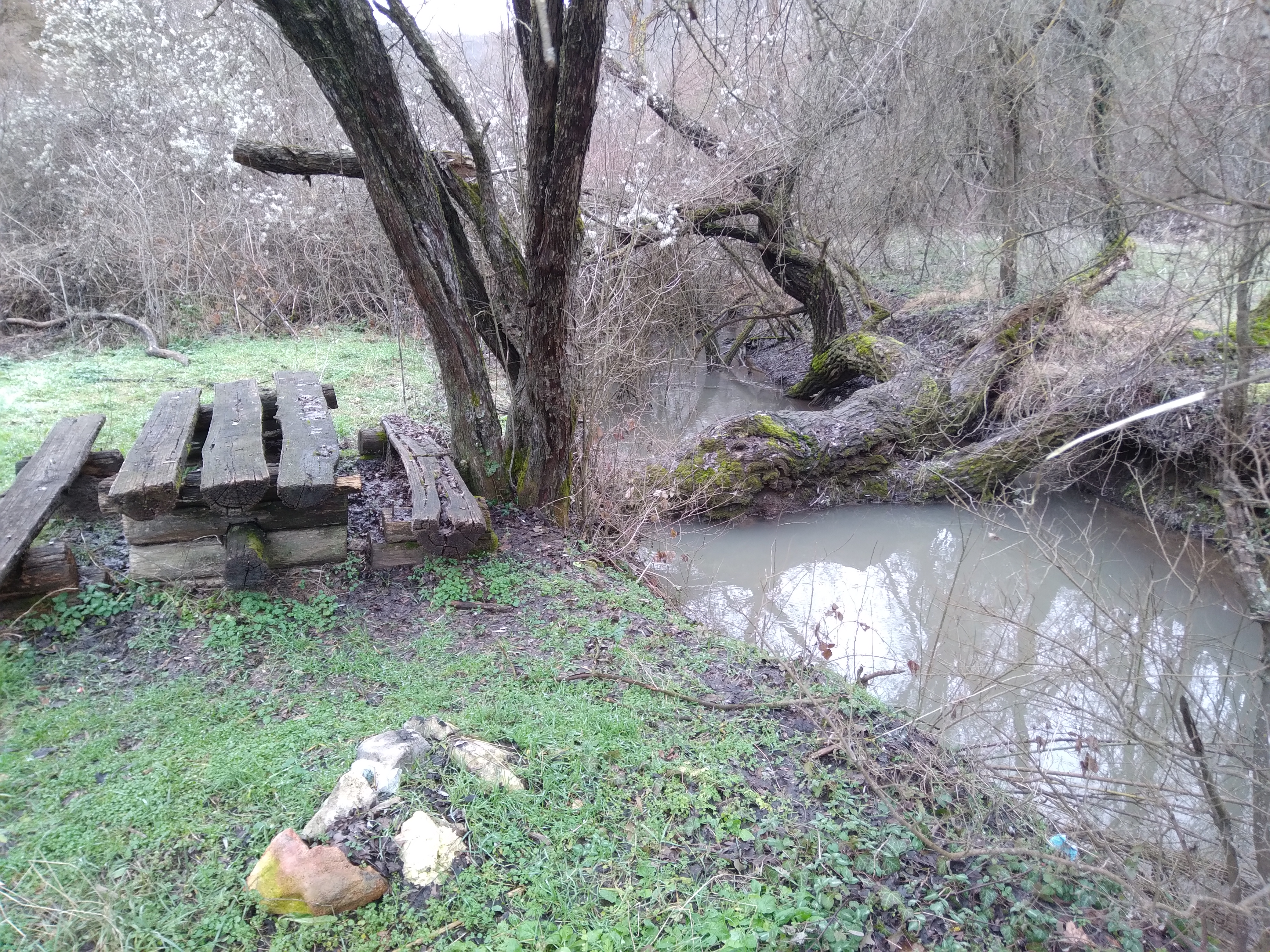 6.2  0260129_143012.jpg